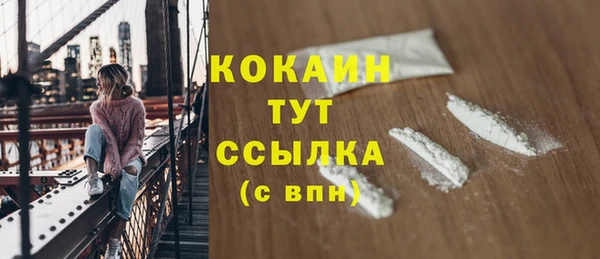2c-b Гусев