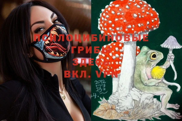 дурь Гусь-Хрустальный