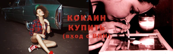 2c-b Гусев