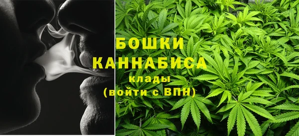 2c-b Гусев