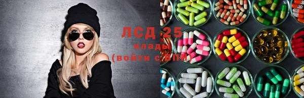 2c-b Гусев