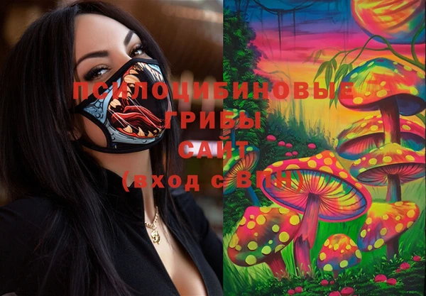дурь Гусь-Хрустальный