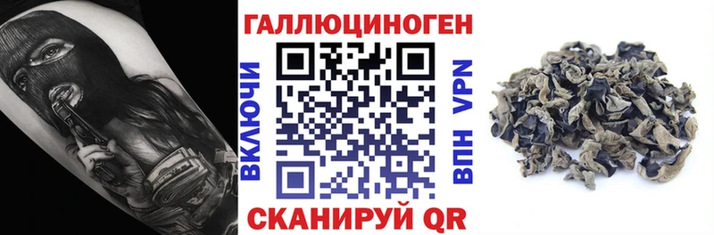 Галлюциногенные грибы ЛСД  Купить где  Нахабино 